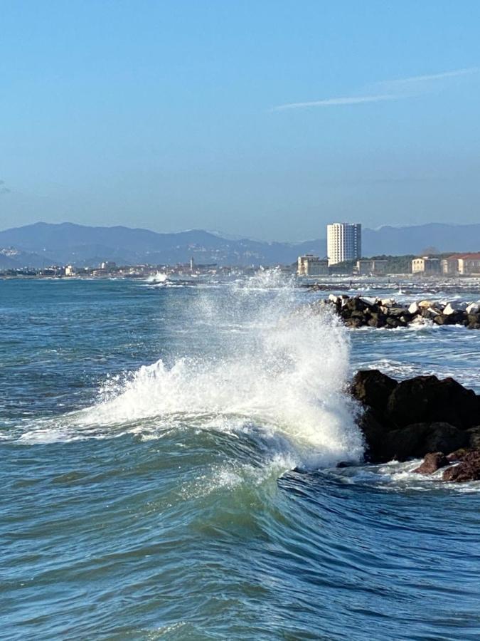 Ancora Bilocale Villa Marina di Massa Eksteriør billede